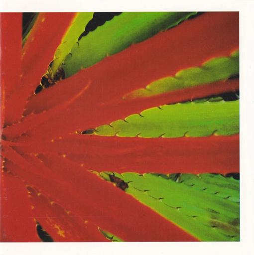 Album art