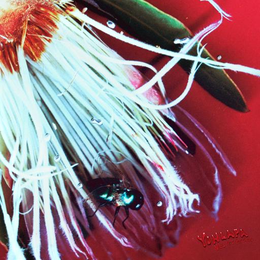 Album art