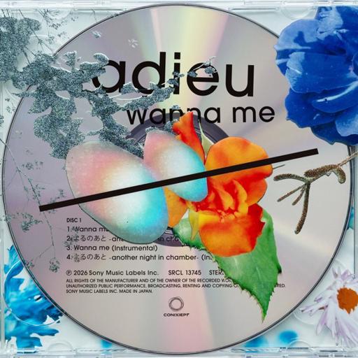 Album art